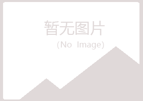 武川县晓夏造纸有限公司